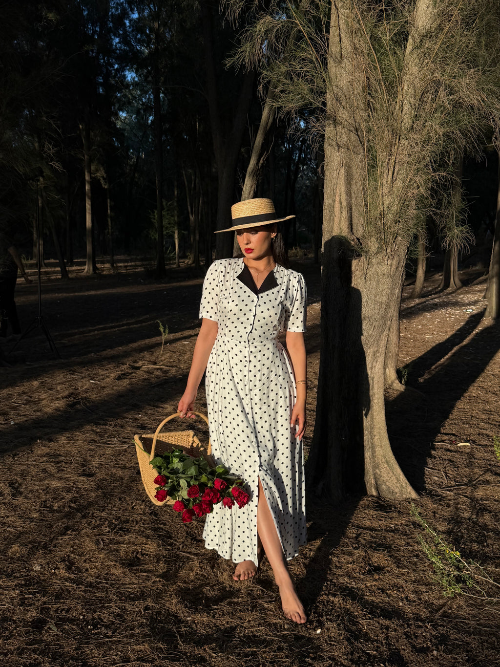 The Rosalie Polka Dress